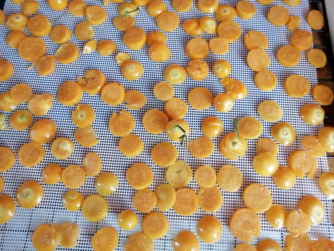 Fruta deshidratada Dorado División